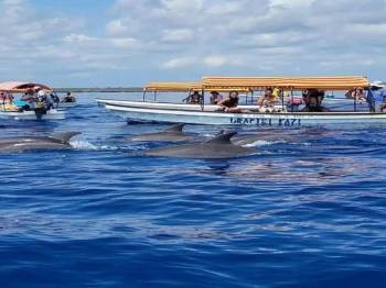 Pungume Island Zanzibar ( Dolphin + Snorkiling)