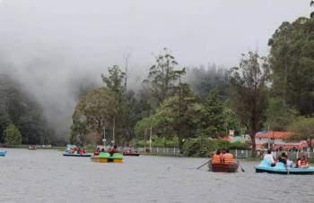 Breathe In The Magic Of Kodaikanal 1 Night - 2 Days Hill Escape Tour