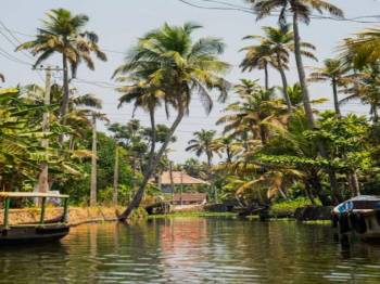 1 Night - 2 Days Alleppey - Alappuzha Tour Package