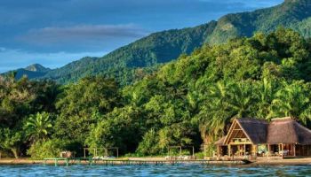 Into The Wild - Eight Days Of Mahale Mountains Adventure - Luxury Tour