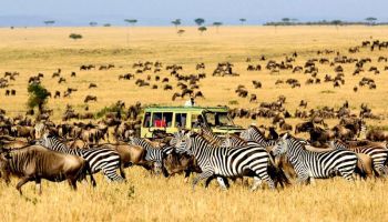 The Iconic View - Amboseli National Park Tour
