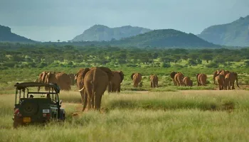 8 Days and 7 nights Kenya Package
