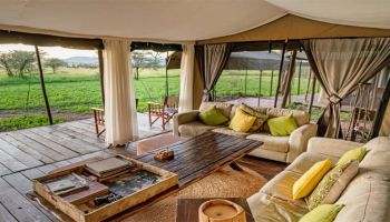 From Sky to Savannah: A 5-Day Private Safari from Kilimanjaro to Tarangire, Serengeti, Ngorongoro
