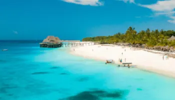 12 Days Highlights Of Tanzania Tour