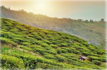 Trip To Sikkim - Darjeeling 6Night - 7Day