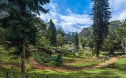 Ooty - Coonoor Tour Package 3N - 4D