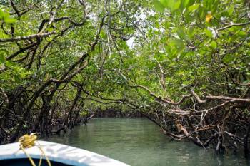 4N 5D Explore Baratang And Havelock Island Tour