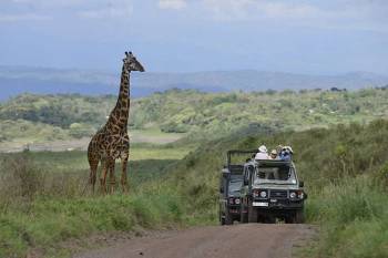 8 Days Tanzania Safari Package