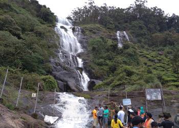 3N - 4D Cochin - Munnar - Thekkady Tour