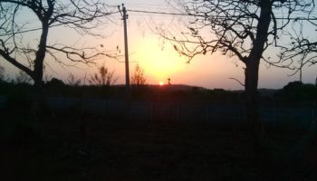 Junagadh - Somnath Tour Package 2 Night - 3 Days