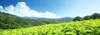 3 Night 4 Days Kerala Tour Package