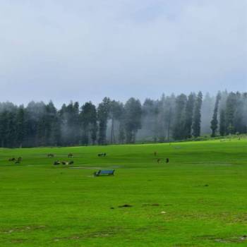 Kashmir Package For 5 Nights And 6 Days