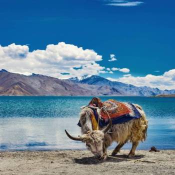 Ladakh Package For 6 Nights And 7 Days