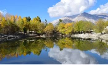 Kinnaur And Kalpa Tour From Chandigarh - 8Night 9Days