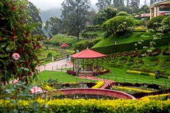 6N 7D Ooty - Kodaikanal - Wayanad Tour