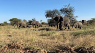 4- Day of Adventure and Wildlife Tour