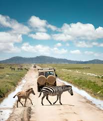 3- Day of Serengeti Migration Safari