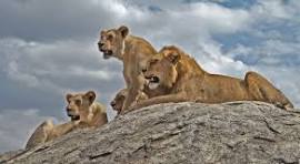 2 Nights 3 Days Fly-in Tour