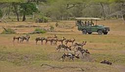 4 Days 3 Nights Fly- in Package