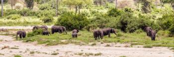 4 Days - 3 Nights Northern Circuit - 1 Tour