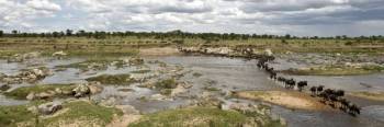 4 Days - 3 Nights Northern Circuit - 2 Tour