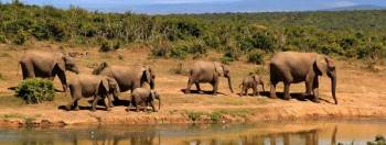 10 Days 9 Nights - Northern Circuit - Out Of Africa Tour