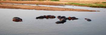 3 Days 2 Nights Southern Circuit - Ruaha Tour By Drive