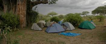 14 Days 13 Nights Northern Camping Safari And Zanzibar Tour