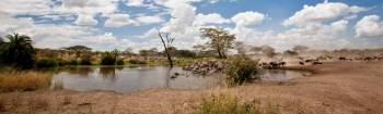 9 Days - 8 Nights Northern Circuit - Zanzibar Tour
