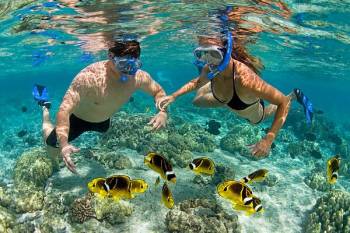 Full Day Snorkeling Tour In Safari Blue