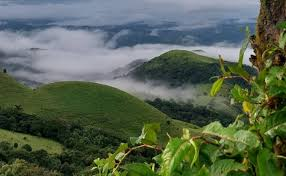 4 Day Coorg Tour Package