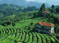 Ooty 3-Day Itinerary With Coonoor Day Trip