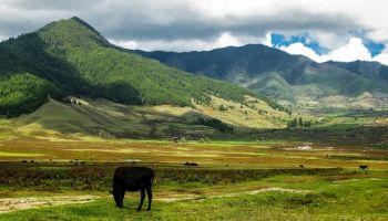 10 Nights - 11 Days Bhutan Tour Package