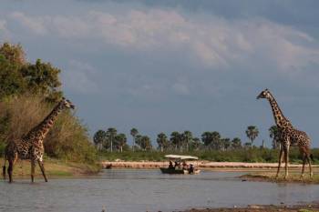 9 Days Mikumi - Ruaha And Selous National Park Tour