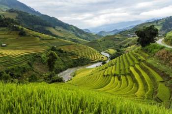 Nepal Tour Package – 7 Nights / 8 Days  (3N Kathmandu – 3N Pokhara – 1N Jomsom – Return Kath