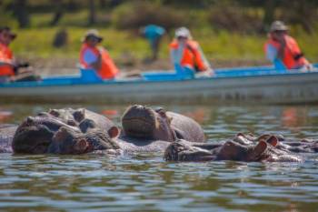 5D Maasai Mara - Lake Naivasha - Lake Nakuru Lodge Safari Tour