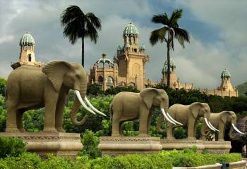 5 Days - 4 Night South Africa Tour