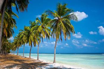 3 Night - 4 Days Lakshadweep Tour Package