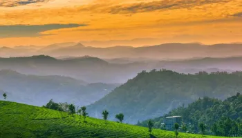 Kerala Package for 6 Nights 7 Days