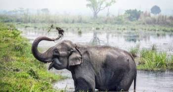 Kathmandu - Bhaktapur - Nagarkot - Pokhara - Chitwan 9 Days Tour