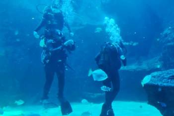 Dazzling Diani: Discover Kenya’s Coastal Gem Tour