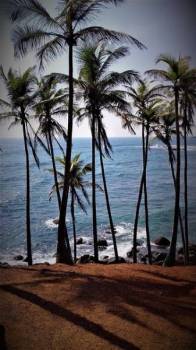Sri Lanka - A Romantic Island Escape For Honeymooners Tour
