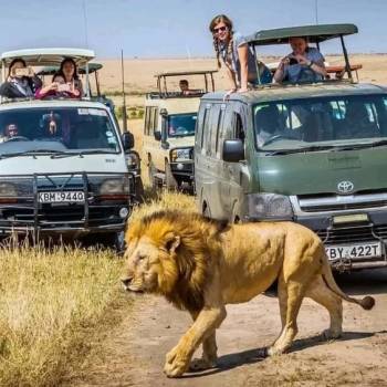4-Day Masai Mara And Lake Nakuru Joining Group Tour