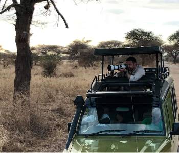 10-Day Photographic Safari - Ndutu Calving Season Tour