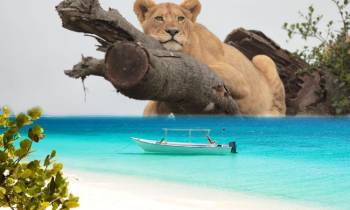 From Savannah To Spice Island 10 Days Safaris Tour