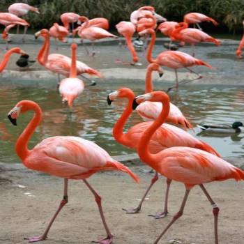 7-Day Wildlife & Outdoor Activities from Mt Kilimanjaro