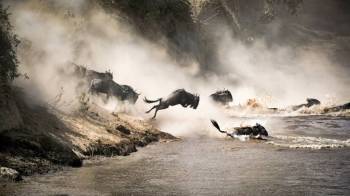 6-Day Masai Mara, Lake Naivasha & Amboseli Big 5 Safari