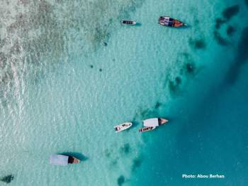 12-Day Kenya & Tanzania Wildlife and Beach Tour Zanzibar