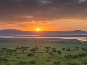 3 Night - 4 Days Amboseli - Tsavo Safari Tour