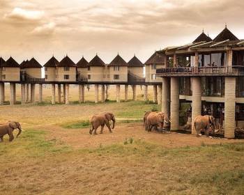 9 Night - 10 Days Kenya Safari Tour From Mombasa
